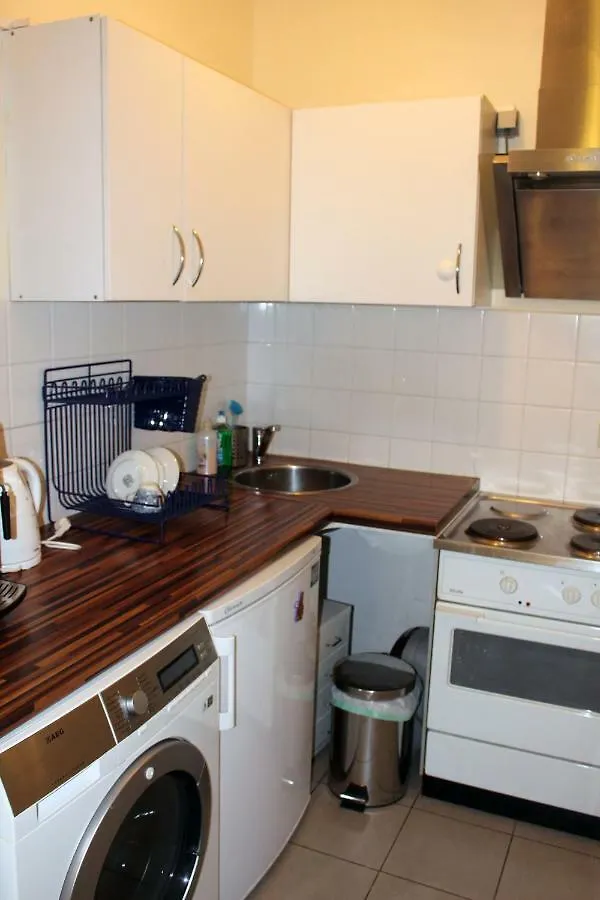 Central & Classic In Vienna Daire